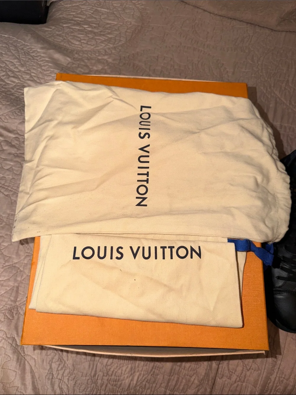Louis Vuitton sleek louis